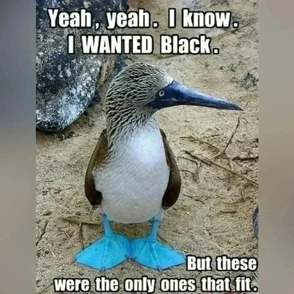 FREE 🆕Swimsuit String Bikini Bottoms - Picture 12 of 16